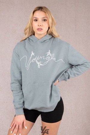 Dámské Svrchní Oblečení YoungLA Hummingbird Oversized Hoodie Blankyt | 706159VBN