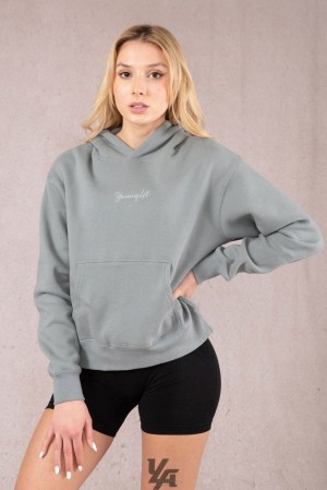 Dámské Svrchní Oblečení YoungLA Staple Hoodie Slate | 723869PNR