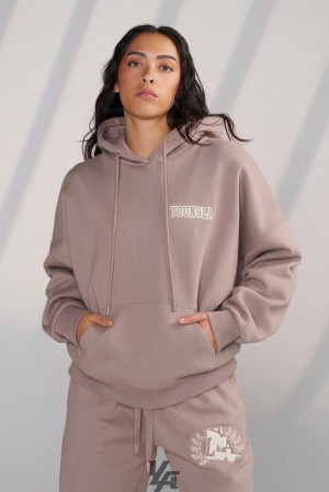 Dámské Svrchní Oblečení YoungLA Teddy Hoodie Šedé Hnědé | 397056VOR