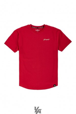 Pánské Košile YoungLA Autobiography Tees Červené | 482067ODV