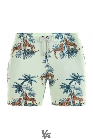 Pánské Kraťasy YoungLA Abstract Swim Shorts '22 Tropical Cheetah | 508127FJE