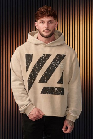Pánské Svrchní Oblečení YoungLA Icon Washed Hoodies Béžový Blankyt Světle Modré | 578690LON