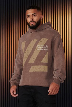 Pánské Svrchní Oblečení YoungLA Icon Washed Hoodies Hnědé Blankyt Světle Modré | 416573NST