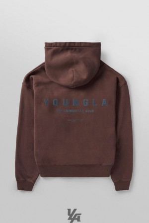 Pánské Svrchní Oblečení YoungLA Immortal Club Hoodies Hnědé Blankyt Světle Modré | 073296DEW